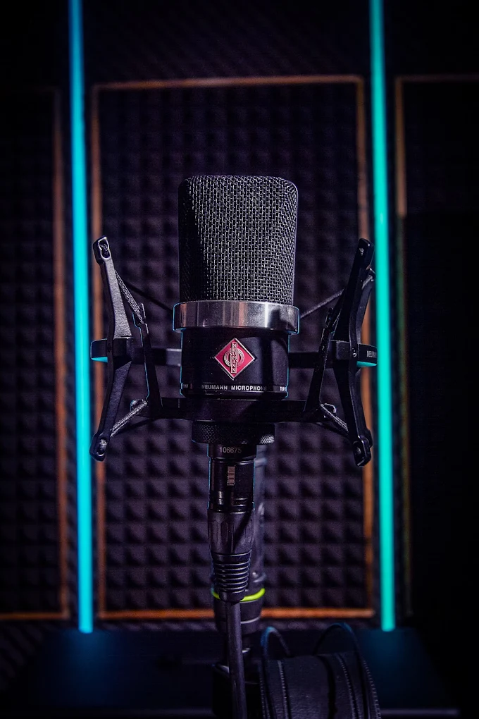 Large-diaphragm condenser microphone in a shock mount